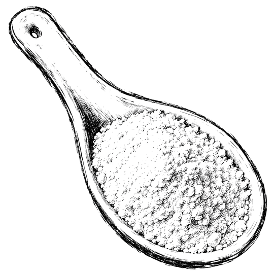 Bacillus Coagulans (5B CFU)