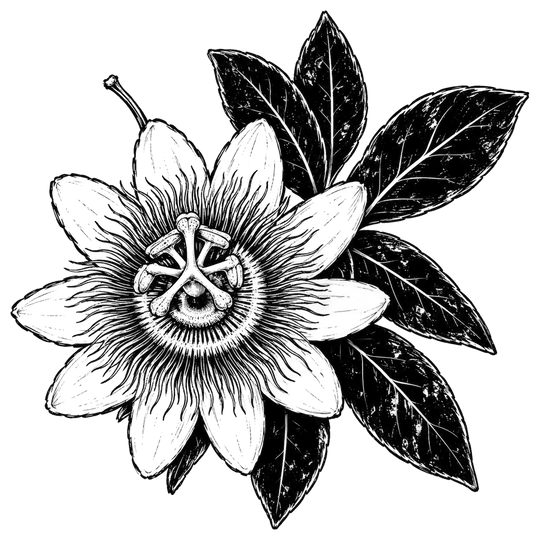 Passion Flower